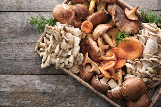 Mushrooms - A Nutrient Packed Superfood: A Comprehensive Guide